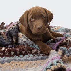 Cloud7 Hundedecke Woodstock